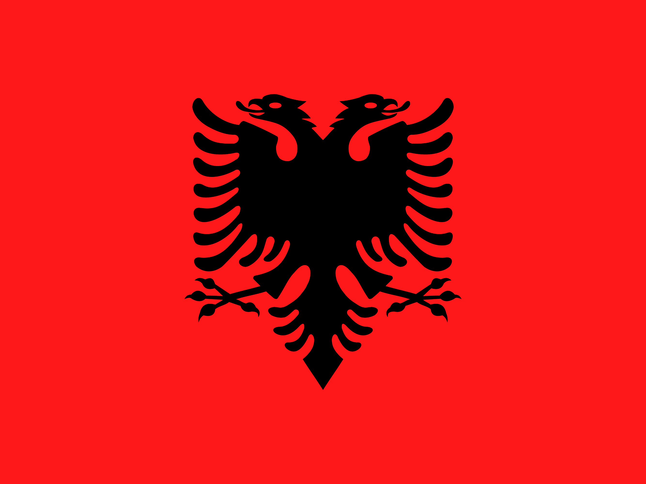 Албания флаг