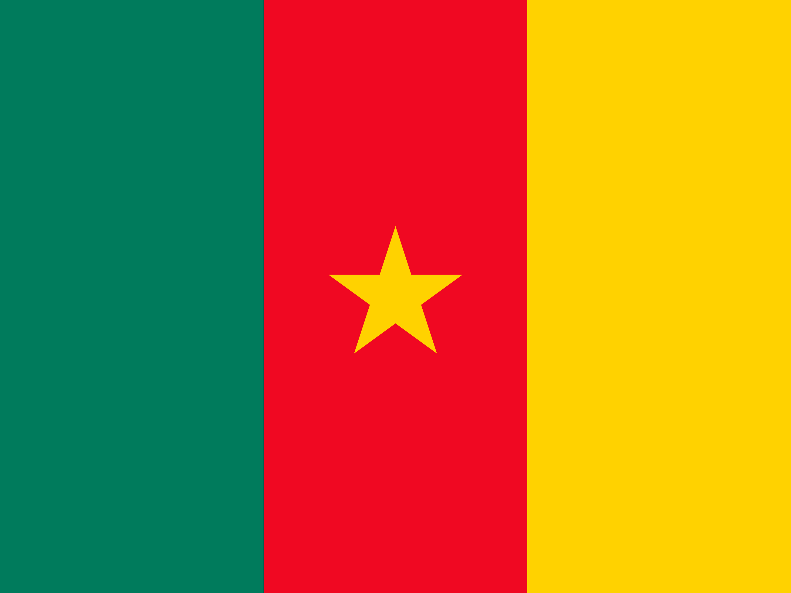 Камерун флаг